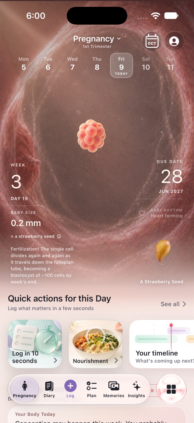 Pregnancy app preview with a week-by-week visual journey and daily actions